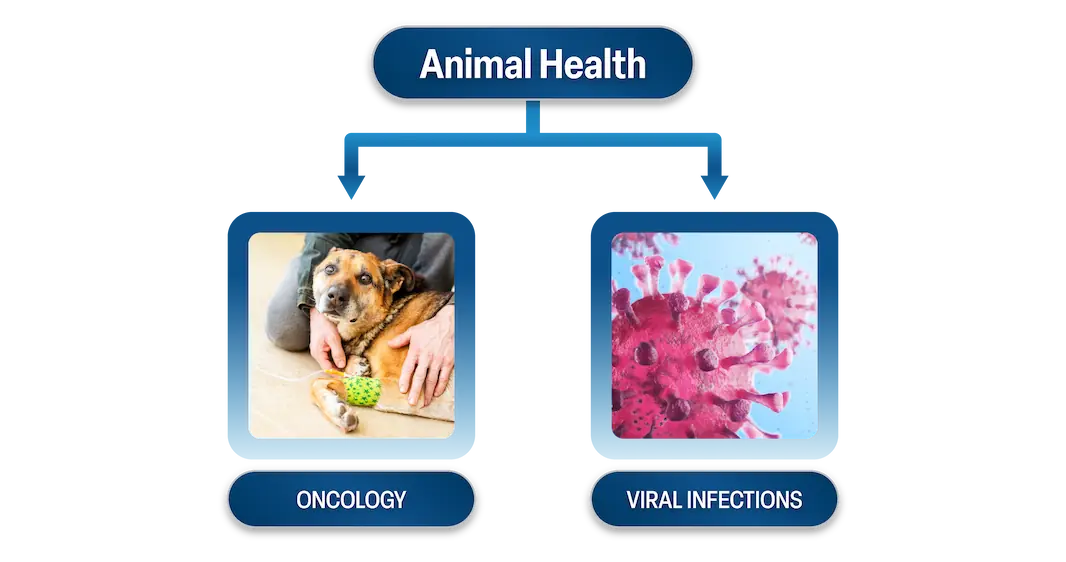 What We Do Animal Health